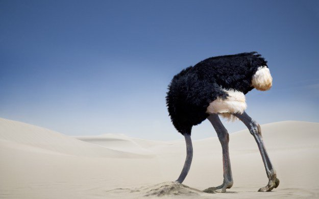 ostrich-head-in-sand-1.jpg